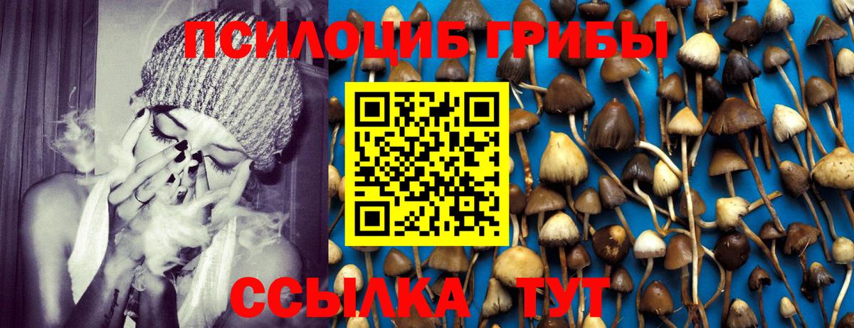 Псилоцибиновые грибы мицелий  Вход с VPN  Саяногорск 