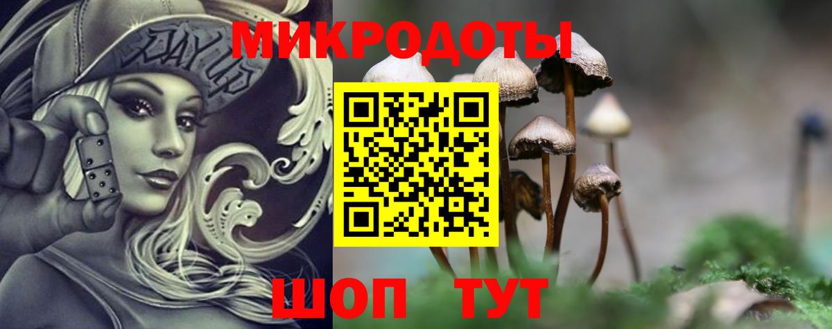 Галлюциногенные грибы GOLDEN TEACHER Саяногорск