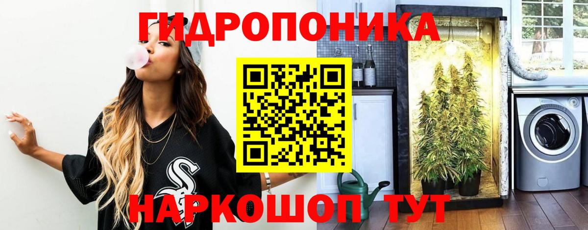 Конопля марихуана Саяногорск